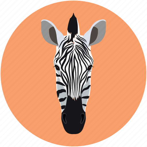 Face zebra, forest animal, zebra, zebra face icon - Download on Iconfinder