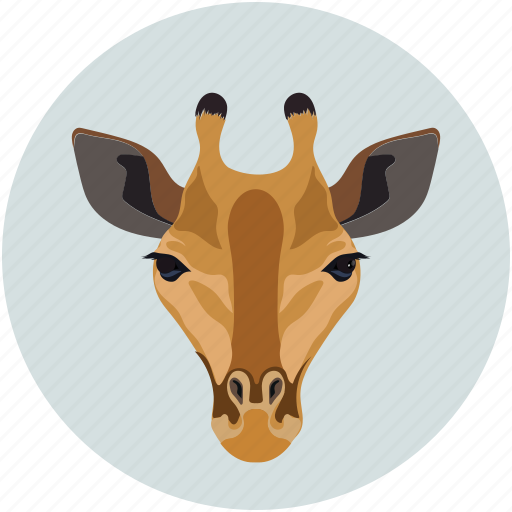 Animal face, herbivore, jungle, mammals icon - Download on Iconfinder