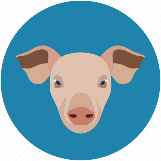 Pig, pig face, piggy, pork icon - Download on Iconfinder