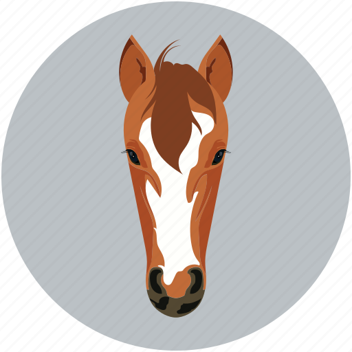 Herbivore, horse, mammals icon - Download on Iconfinder