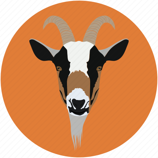Animal face, cabra, forest animal, goat, goat baby icon - Download on Iconfinder