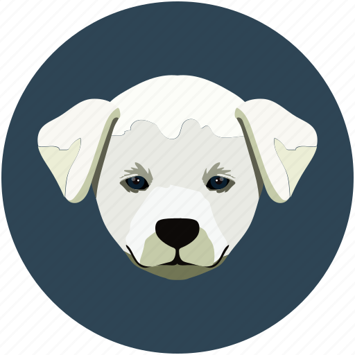 Baby dog, dog, pet, puppy icon - Download on Iconfinder