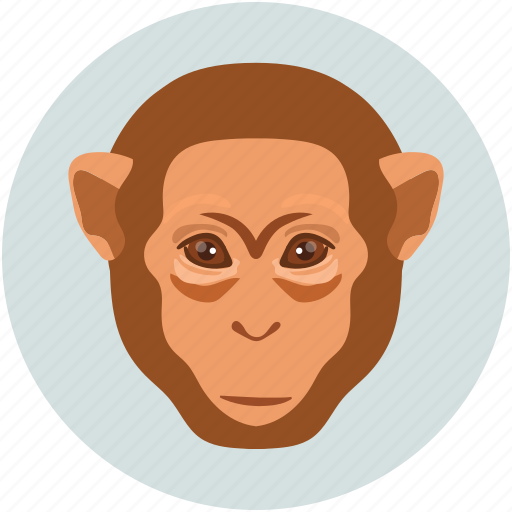 Monkey, monkey face icon - Download on Iconfinder