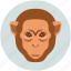 monkey, monkey face 