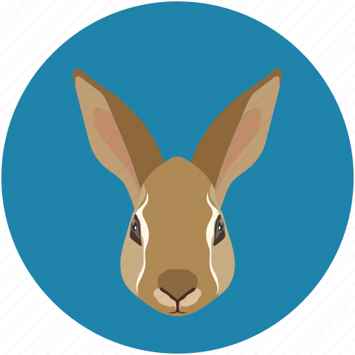 Bunny, cute, hare, pet, rabbit, wildlife icon - Download on Iconfinder