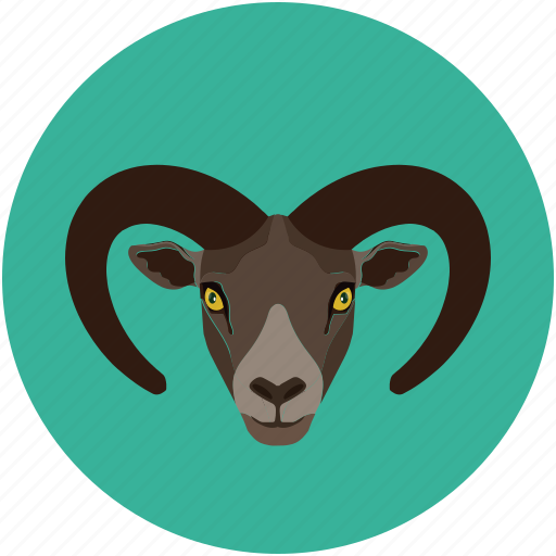 Cabra, goat, goat baby, jungle goat icon - Download on Iconfinder