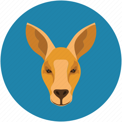Donkey, giraffe, safari, zoo icon - Download on Iconfinder