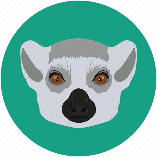 Forest, fox, grid, jungle, mammal, omnivore icon - Download on Iconfinder