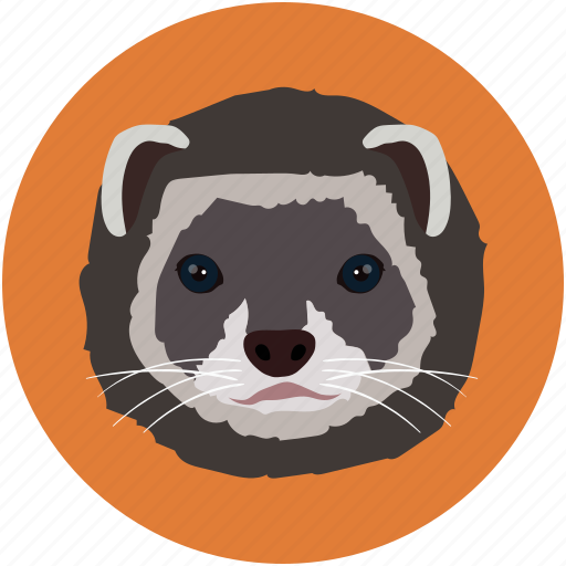 Animal, cat, head, kitty, pet, pussycat, veterinary icon - Download on Iconfinder