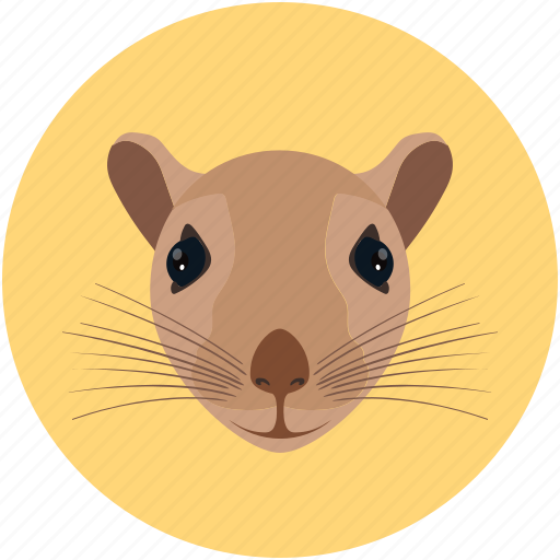 Animal, animal face, mouse, rat, rodent icon - Download on Iconfinder