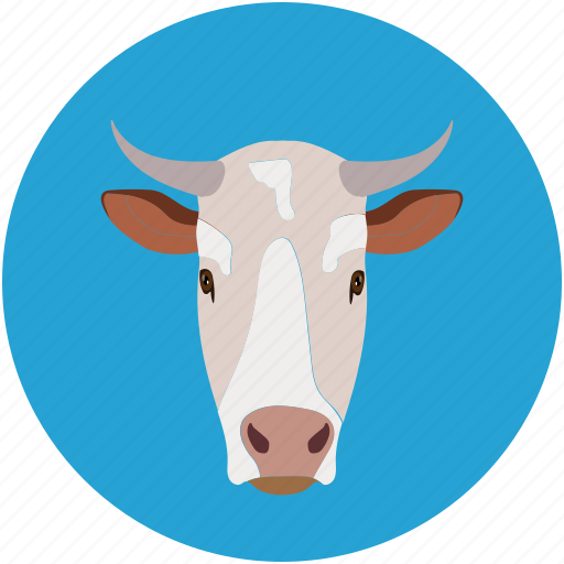 Buffalo, cow, cow face, farm pet icon - Download on Iconfinder