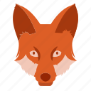 animal, face, fox, wolf