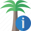 information, palmtree, travel, tree, tropical, vacation