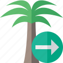 next, palmtree, travel, tree, tropical, vacation