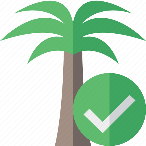 Ok, palmtree, travel, tree, tropical, vacation icon - Download on Iconfinder