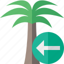 palmtree, previous, travel, tree, tropical, vacation