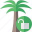 palmtree, travel, tree, tropical, unlock, vacation 