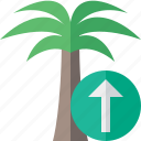 palmtree, travel, tree, tropical, upload, vacation 