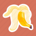 banana, plantain, fruit, tropical, organic