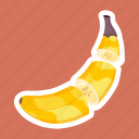 plantain, fruit, peeled banana, protein food, organic food