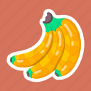 banana, plantain, fruit, tropical, organic