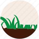 garden, gardening, grass, nature, plant, soil, tree