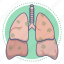 lungs, organ, lung, smoke, cancer, covide-19 