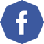 facebook, octagon 