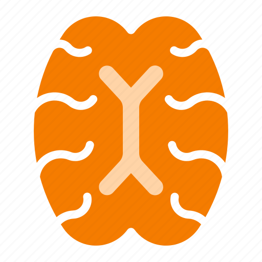 Brain, human, intelligent, nerve, organ icon - Download on Iconfinder