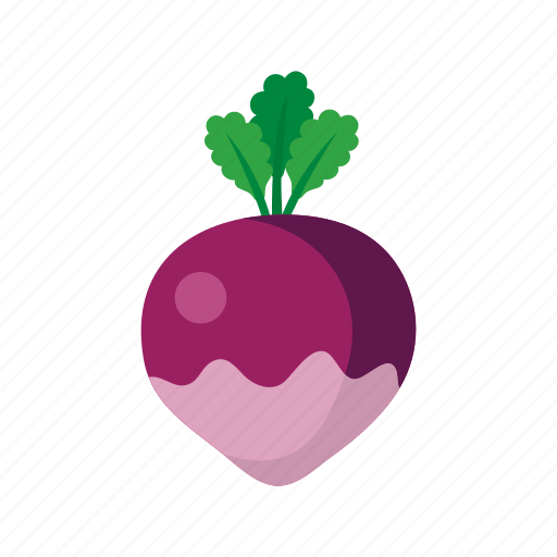 Cook, food, kitchen, red, turnip, vegetable, veggie icon - Download on Iconfinder
