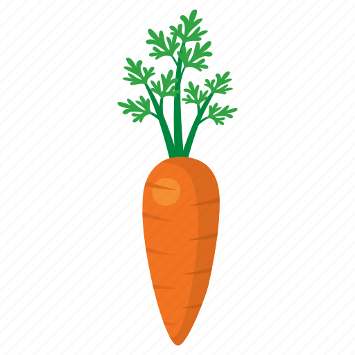 Carrot, cook, food, kitchen, orange, vegetable, veggie icon - Download on Iconfinder