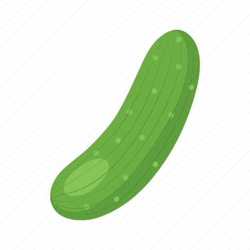 Cook, cucumber, food, green, pickles, vegetable, veggie icon - Download on Iconfinder