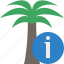 information, palmtree, travel, tree, tropical, vacation 