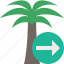 next, palmtree, travel, tree, tropical, vacation 