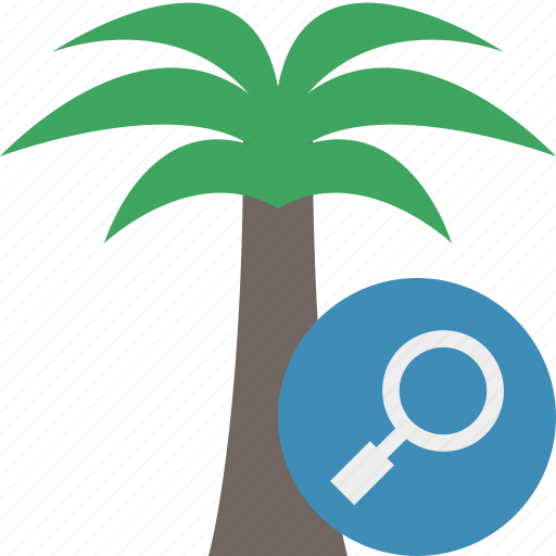 Palmtree, search, travel, tree, tropical, vacation icon - Download on Iconfinder