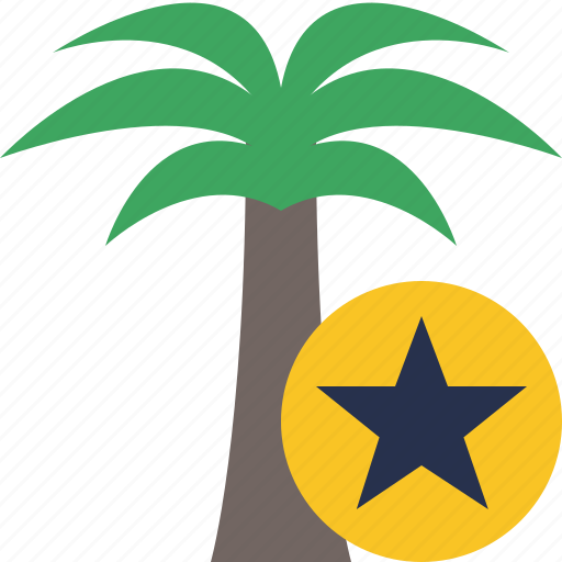 Palmtree, star, travel, tree, tropical, vacation icon - Download on Iconfinder