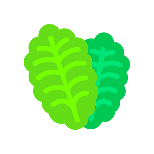 Cabbage, health, salad, vegetables icon - Free download