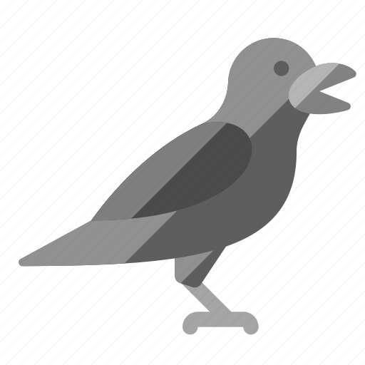 Crow, bird, animal, pet, halloween, horror, mystery icon - Download on Iconfinder