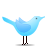 Animal, bird, standing, twitter icon - Free download
