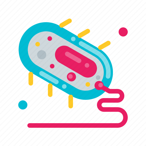 Prokaryote, bacteria, microbe, science, biomedical icon - Download on Iconfinder