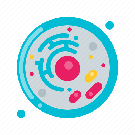 Nucleus, cell, biomedical, science icon - Download on Iconfinder