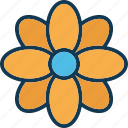 blooming, ecology, floral variant, flower