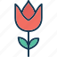 aquatic flower, blossom, flower, lotus bud 