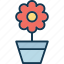 flower, flower pot, nature, plant pot