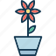 flower, flower pot, nature, plant pot 