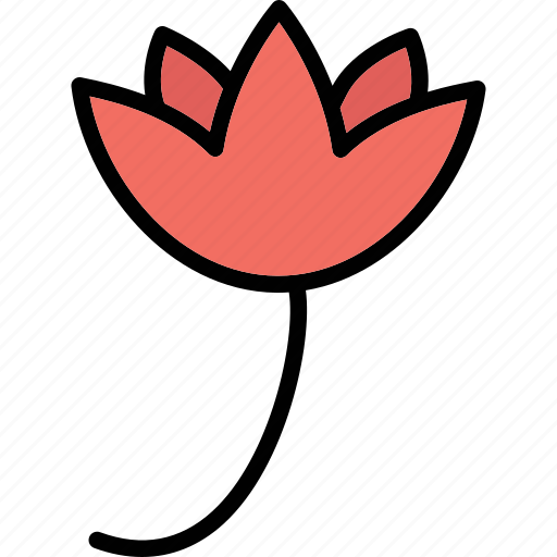 Bloom, blooming flower, flower, organic rose icon - Download on Iconfinder