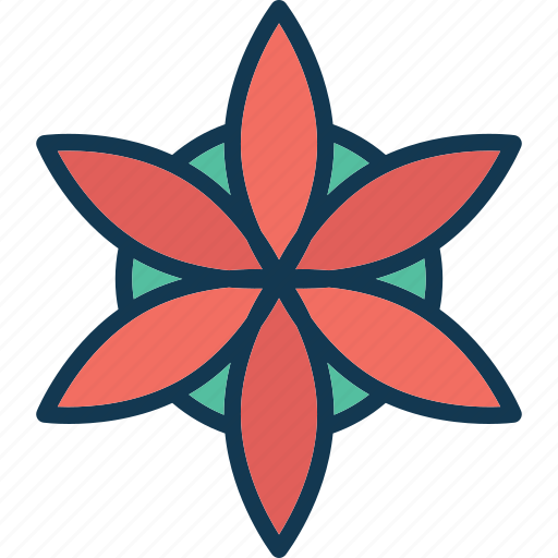 Aster, aster flower, blossom, calendula icon - Download on Iconfinder