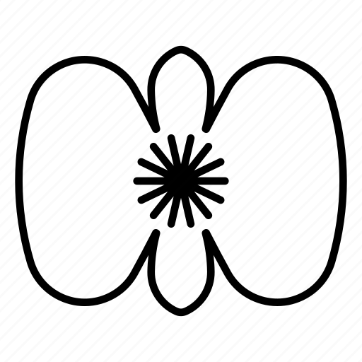 Begonia, blossom, flower, nature, spring icon - Download on Iconfinder