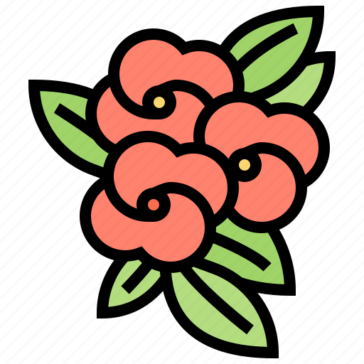 Blossom, christ, flower, houseplant, thorn icon - Download on Iconfinder