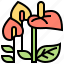 anthurium, flamingo, flora, flower, houseplant 